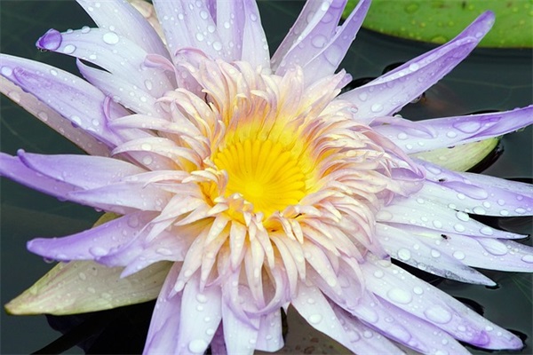 提高员工素质的方法