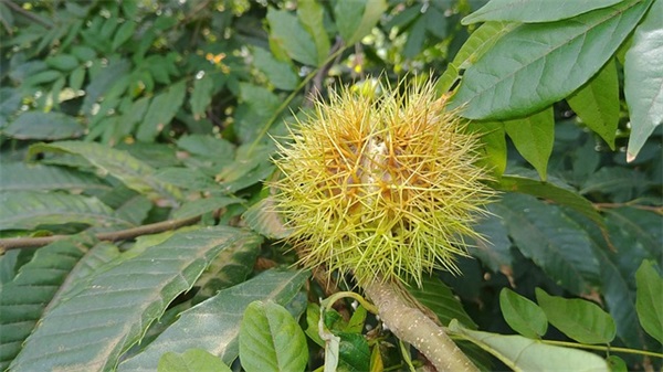 如何自学英语的方法