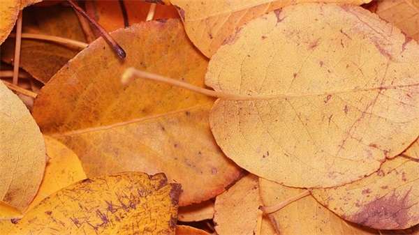 我和老师说说心里话