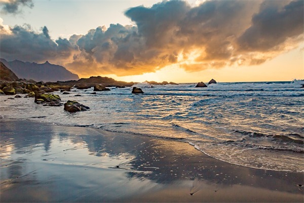 会计高级职称论文