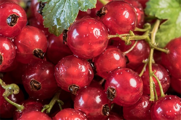 广场舞阳光女孩背面演示是怎么样的？广场舞阳光女孩背面演示