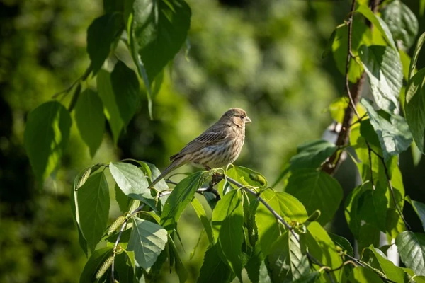 钱包丢了心情很不好，怎么办？钱包丢了，里面的证件怎么找回来？