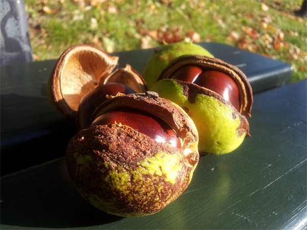 芹香小炒肉要怎么做好吃？芹香小炒肉要哪些材料？如何做芹香小炒肉