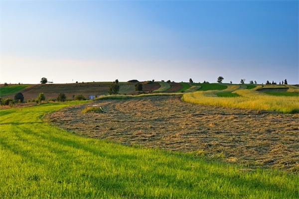 小学生新生寄语-54句