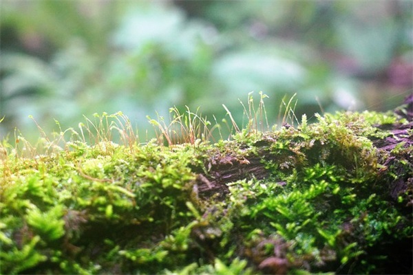 给学生的励志寄语简短初中 【给学生的励志寄语简短初中生】