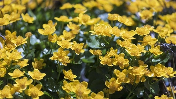 妈妈给小学孩子的鼓励寄语-64句