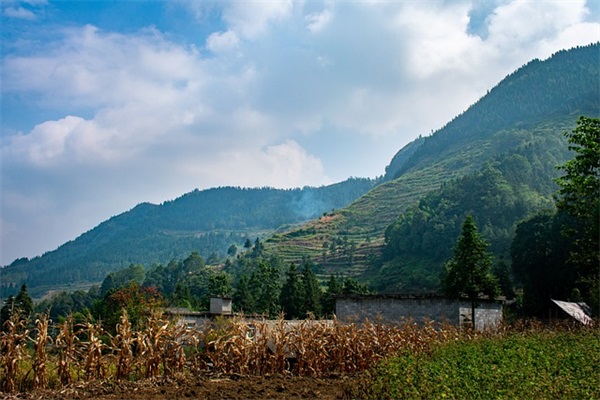 高考心愿寄语的句子-57句