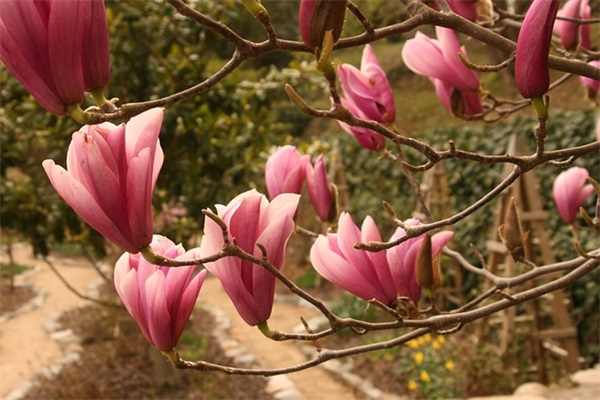 大班毕业家长寄语大全简短的-55句