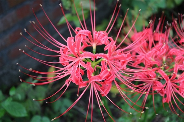 儿子考前激励寄语-57句