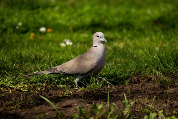 祝福孩子在高中里勤奋的寄语-51句