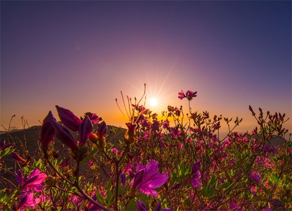 教师廉洁从教寄语-74句