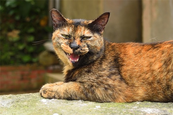 教师寄语高中生简短-52句