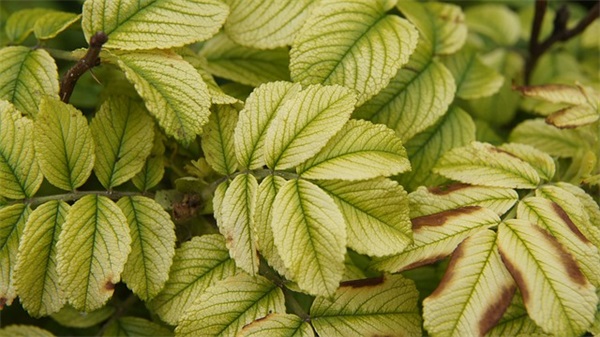 时空猎人游戏名字大全骚气（经典时空猎人游戏名字大全）