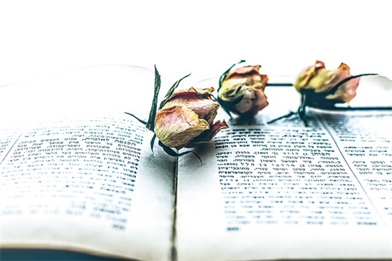 表达心情压抑的句子