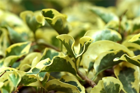 而立之年人生不惑感慨的句子通用(60条)