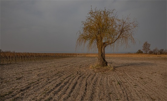 英语告别祝福语70句