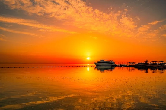 2026年祝福语大全简短版68句