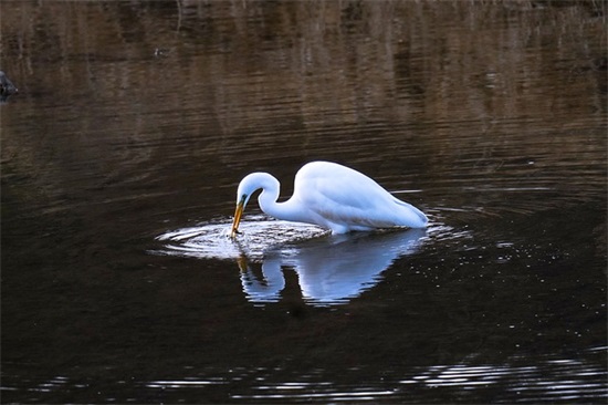 儿童节简短祝福语2026年 儿童节年龄