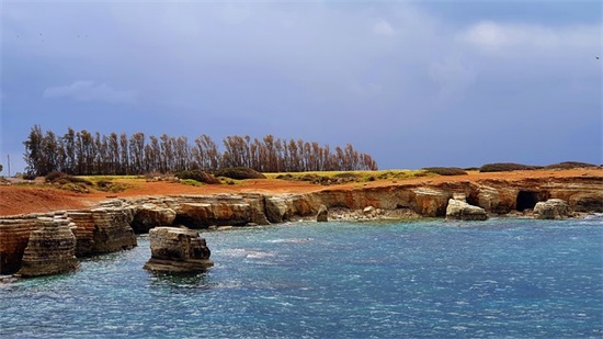 一年级新年对同学祝福语 一年级开学祝福语