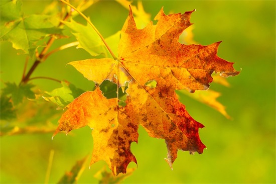 结婚写红包上的祝福语