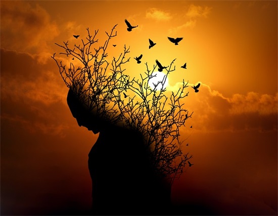 圣诞节送给老师祝福语. 给老师的圣诞祝福语