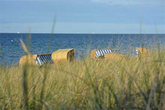 幼儿园园长祝福语 送给幼儿园园长祝福语
