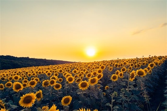 生日感谢父母的话 最有情商的生日祝福