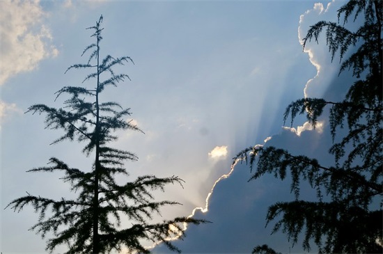 小朋友的祝福语英文