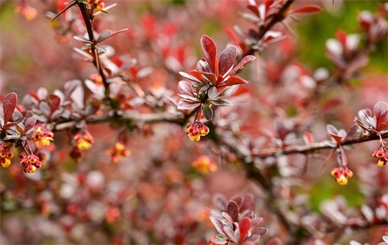 生日祝福语大全朋友58句