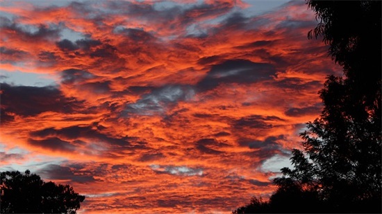 妹妹高考的祝福语50句