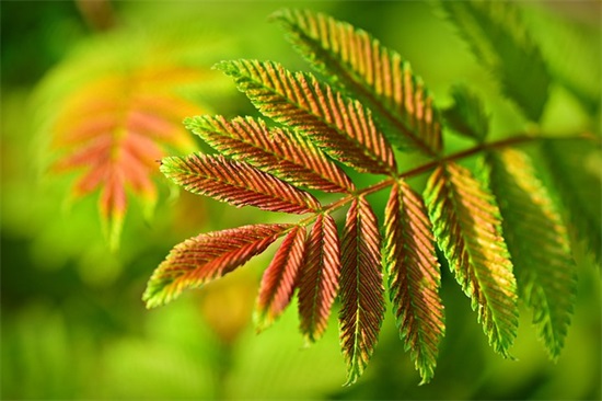 七夕简洁祝福语