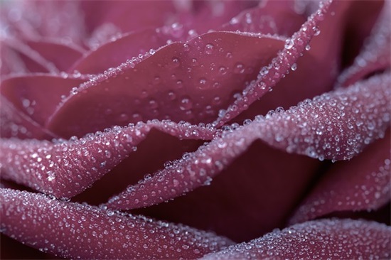 七夕节祝福语同学38句