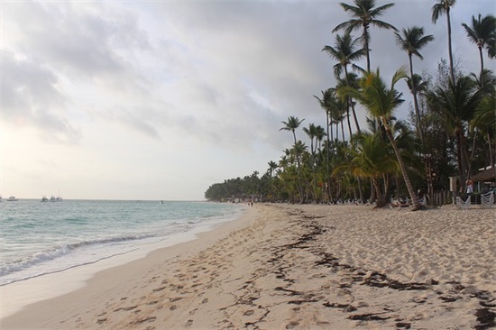 给领导拜年祝福语简短