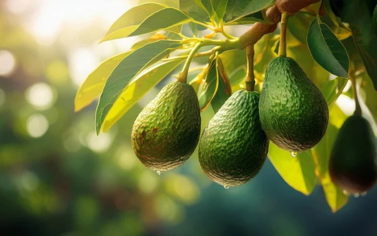 关于人要懂得适可而止句子(暗示别人适可而止的古文)