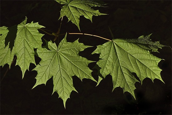 时间不等人的句子 形容时间不等人的句子