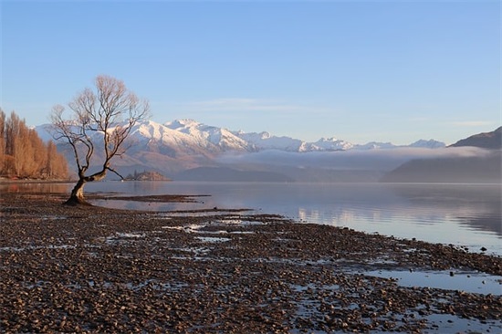 描写春花的优美句子 描写初春花的优美句子