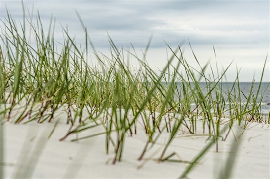 小学五年级祝福语41句