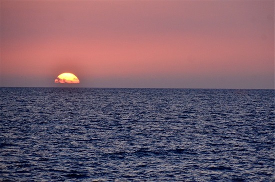 新年贺卡英语祝福语