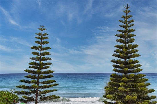 孩子百日宴祝福语41句