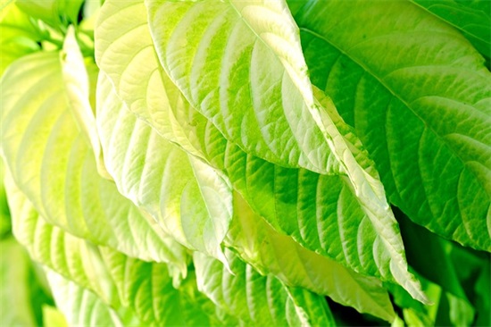 元旦新年祝自己祝福语 2026元旦新年温馨祝福语