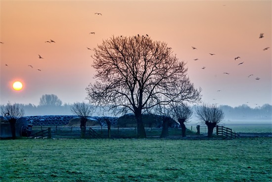 祝舅舅生日快乐幽默祝福语