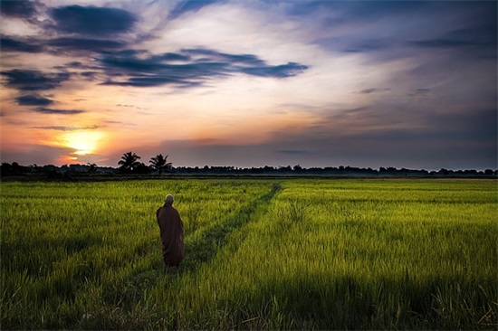 英语高考加油祝福语78句