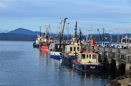 老人家生日祝福语 简短独特