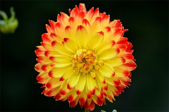 关于生产的口号大全 关于生产质量的口号大全