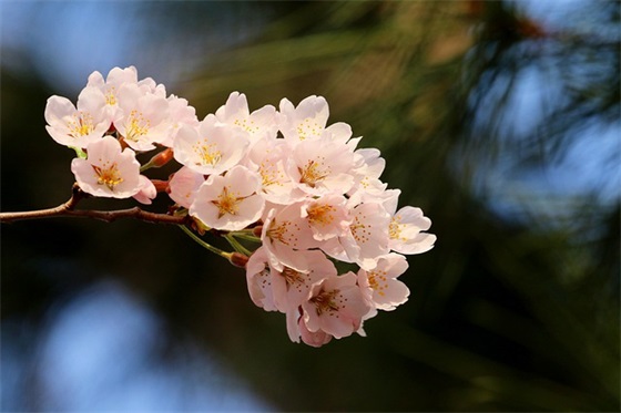 爱国的标语75句