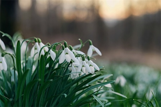 霸气侧漏的班级运动口号86句