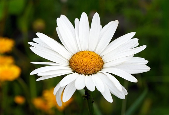 初中八年级班级口号83句