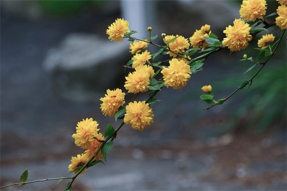 餐饮励志口号霸气82句