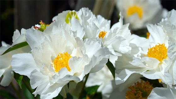 学生食堂安全标语 食堂安全标语