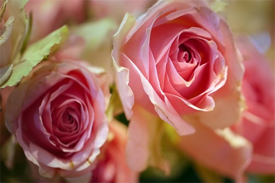 初中生运动会入场口号